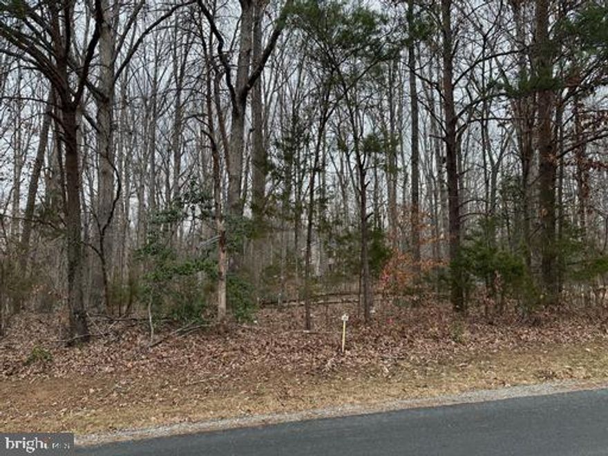 Home lots available in the Serene, gated Blue Ridge Shores neighborhood surrounding beautiful Lake Louisa.  Recreational amenities in this Lake community are unparalleled   Enjoy access to three sandy beaches, boat ramps, and a variety of recreational facilities, including basketball, volleyball, pickleball, and tennis courts, jogging paths, and picnic areas too!  With Lake Louisa just moments away, indulge in canoeing, kayaking, paddleboarding, boating, swimming, or fishing, all while surrounded by nature's beauty.  Build your dream home (s). Incredible opportunity here with the adjacent lot 1156 with existing remodeled home and lot 1157 with a huge shed/workshop are available under a separate MLS listing --VALA2009052.  Create a lifestyle that you will enjoy now, and that you can retire to.  Develop a tradition with a wonderful lake property where the whole group can enjoy vacationing for generations to come.  The convenient, central location so near Fredericksburg , Charlottesville , Culpeper, and Richmond makes this a perfect commuter's choice.  Plan to tour today and vacation all year long!