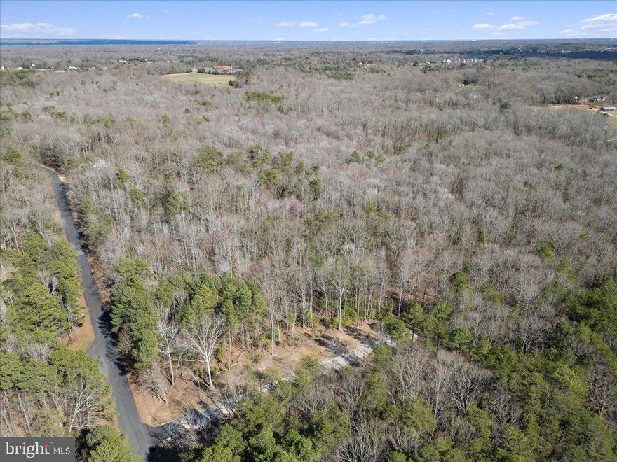 Welcome to 24861 Peaceview Way, Hollywood, MD – a breathtaking 20-acre buildable lot offering a rare combination of privacy, natural beauty, and endless potential. This expansive property features a meandering stream that adds to its peaceful charm, creating the perfect backdrop for your dream home or weekend getaway.

Whether you're looking to build a custom home surrounded by nature or establish a private hunting retreat, this property offers the best of both worlds. With abundant wildlife and wooded landscapes, it's an ideal setting for outdoor enthusiasts.

- 20 Acres of Buildable Land (Recorded Perc)
- Serene Stream on the Property
- Perfect for Hunting, Exploring, or a Private Retreat
- Endless Possibilities for Custom Home or Lodge

Located in the desirable Hollywood, MD area, this property provides a quiet, natural escape while remaining close to local amenities. Don’t miss the opportunity to make this stunning piece of land your own!