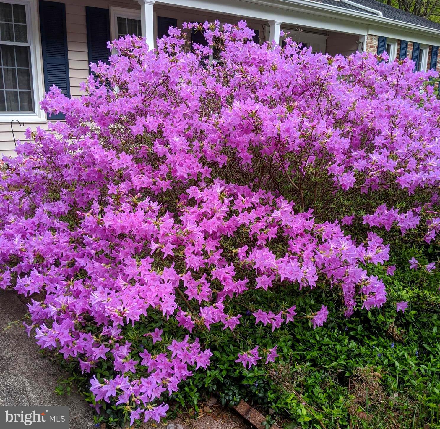 LONGFELLOW - Residential