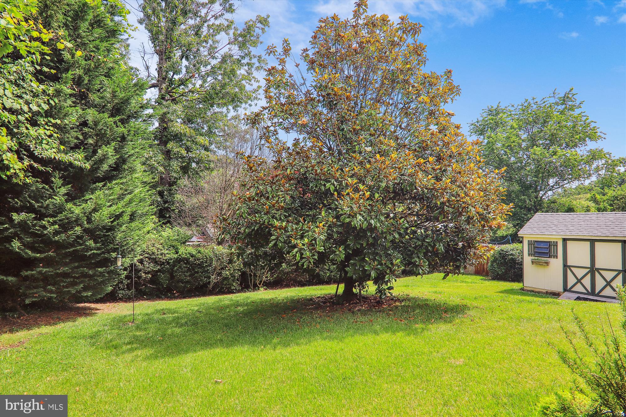 FOREST KNOLLS - Residential