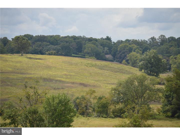 RADNOR HUNT - Residential