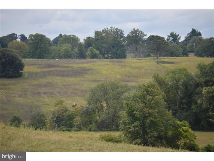 RADNOR HUNT - Residential