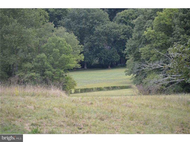 RADNOR HUNT - Residential