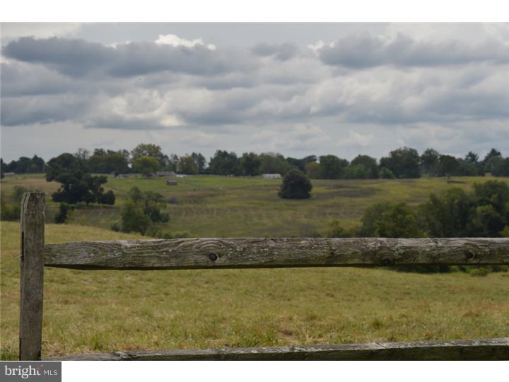 RADNOR HUNT - Residential