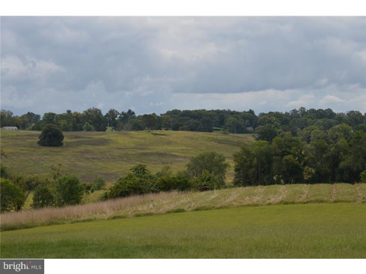RADNOR HUNT - Residential
