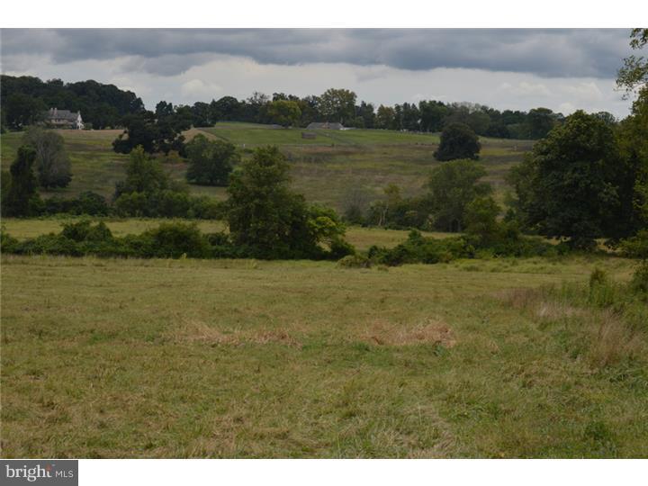 RADNOR HUNT - Residential