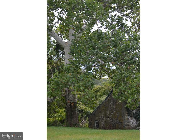 RADNOR HUNT - Residential