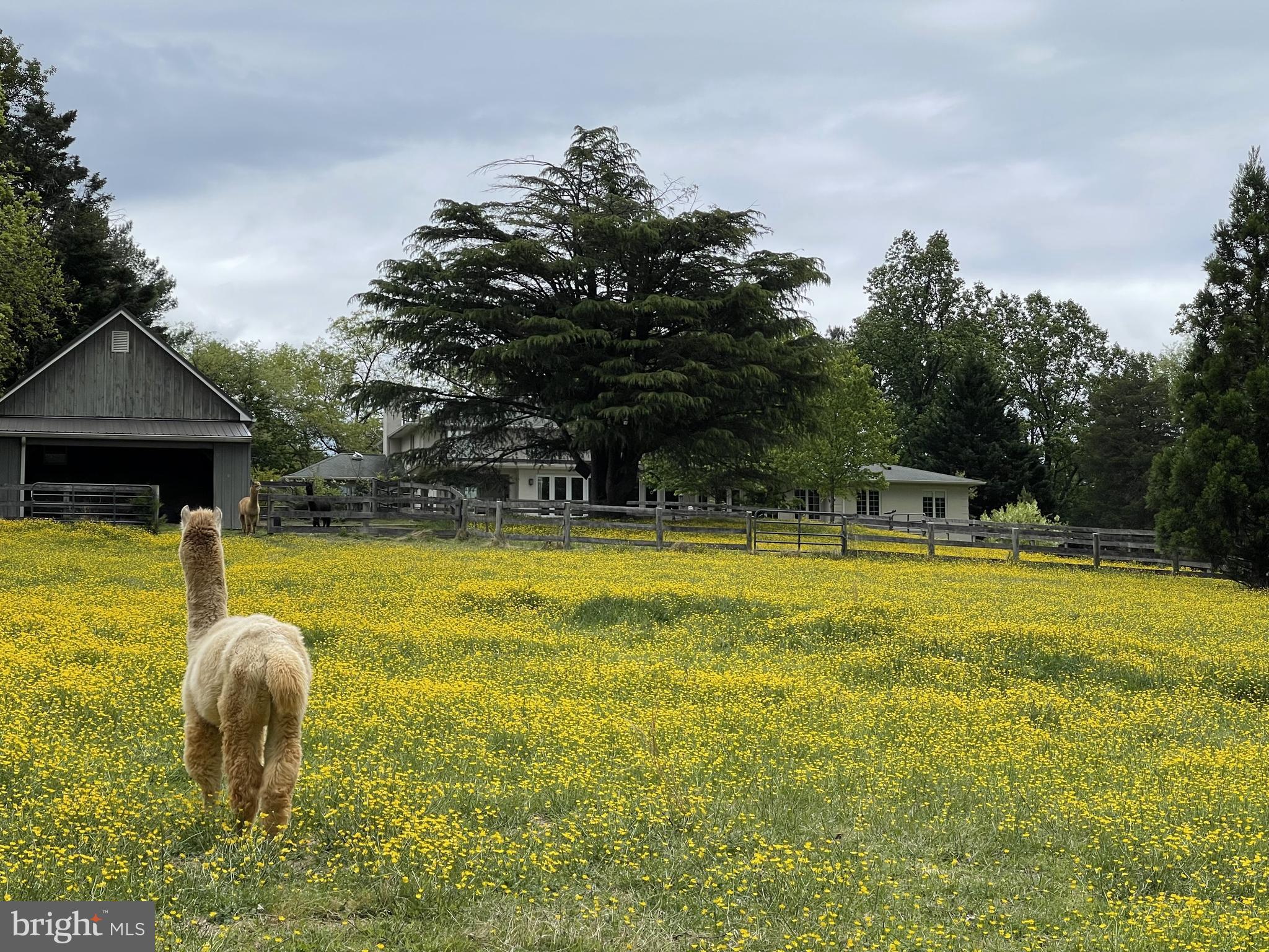 GREAT FALLS - Residential