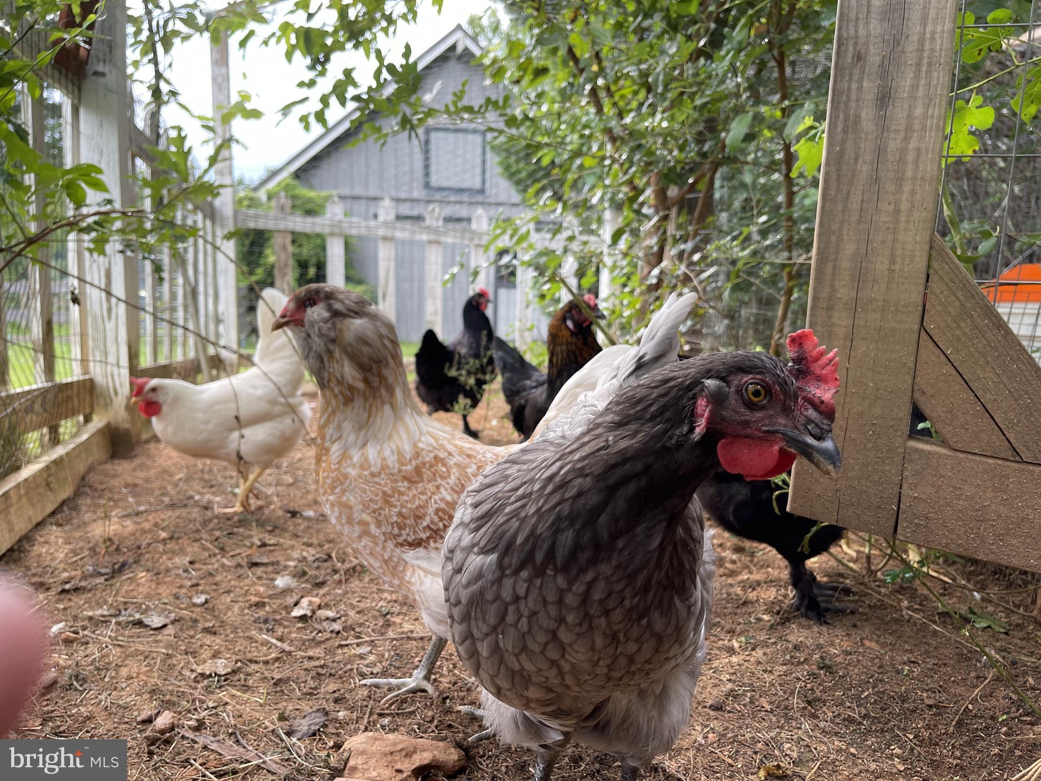 GREAT FALLS - Residential