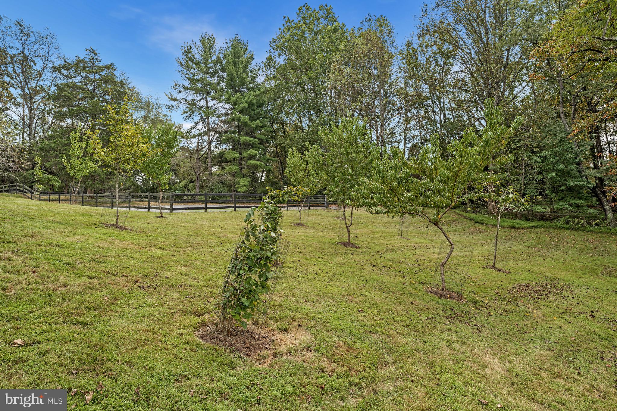 GREAT FALLS - Residential