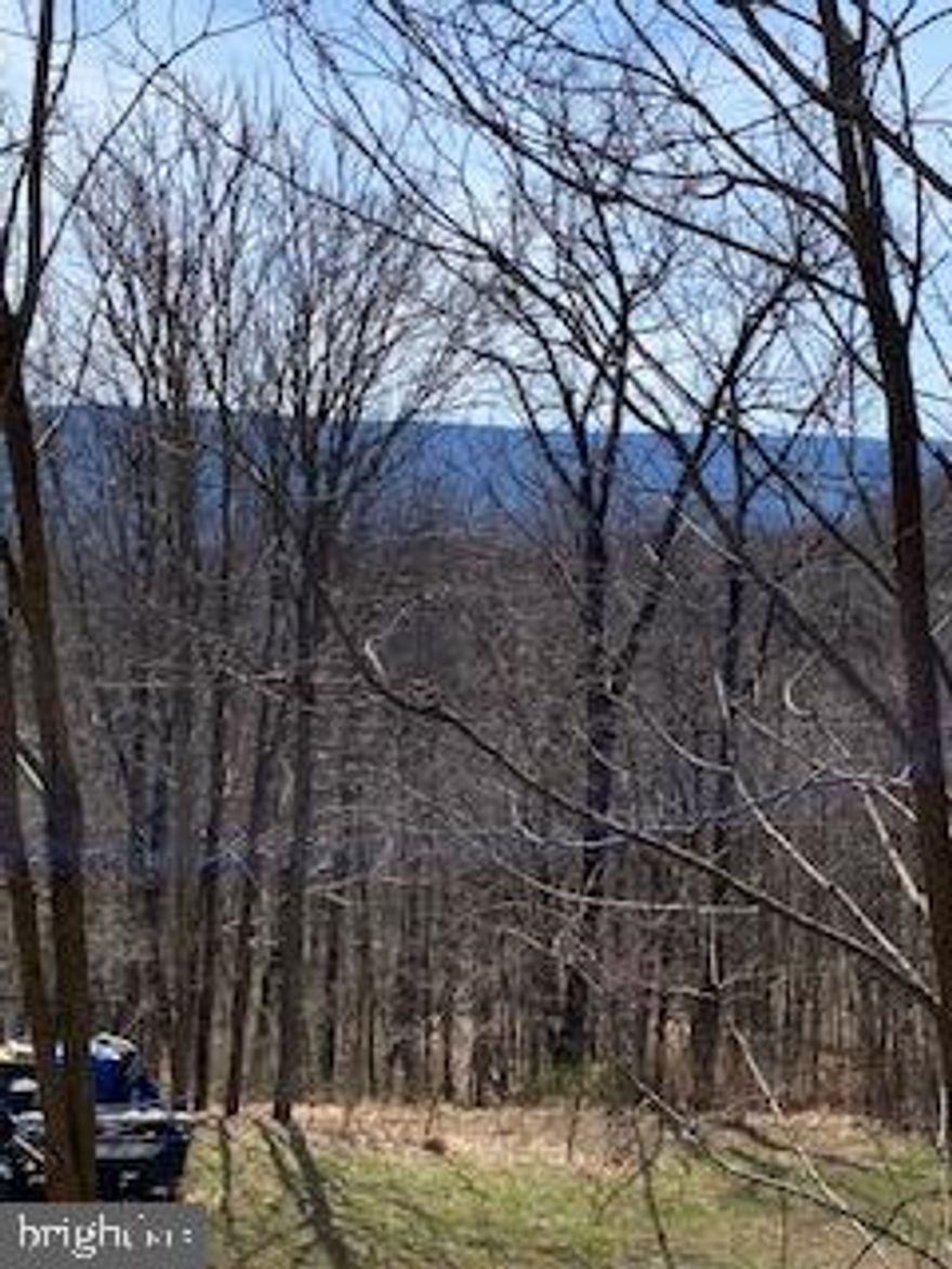 Travel up the unimproved road to this improved 7.1- acre lot.  At first, you'll feel at peace with how quiet it is, and you'll notice the long range mountain views.  The lot offers: a well (pump not hooked up), septic, electric, 12x24 storage shed and 1979 vintage camper.  UNRESTRICTED so hunting is allowed!  There is lots of wildlife.  Be sure to check out the frog ponds behind the cleared area in the woods.  Beautiful rock formations.  This is a must see when looking for a Land lot in Wild West Virginia.