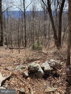 VALLEY HIGH TIMBER FARMS - Land