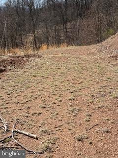 VALLEY HIGH TIMBER FARMS - Land