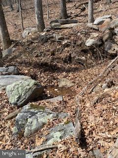 VALLEY HIGH TIMBER FARMS - Land