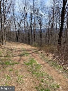 VALLEY HIGH TIMBER FARMS - Land