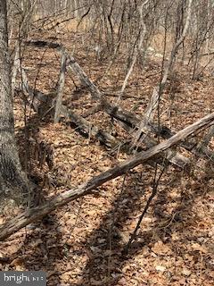 VALLEY HIGH TIMBER FARMS - Land