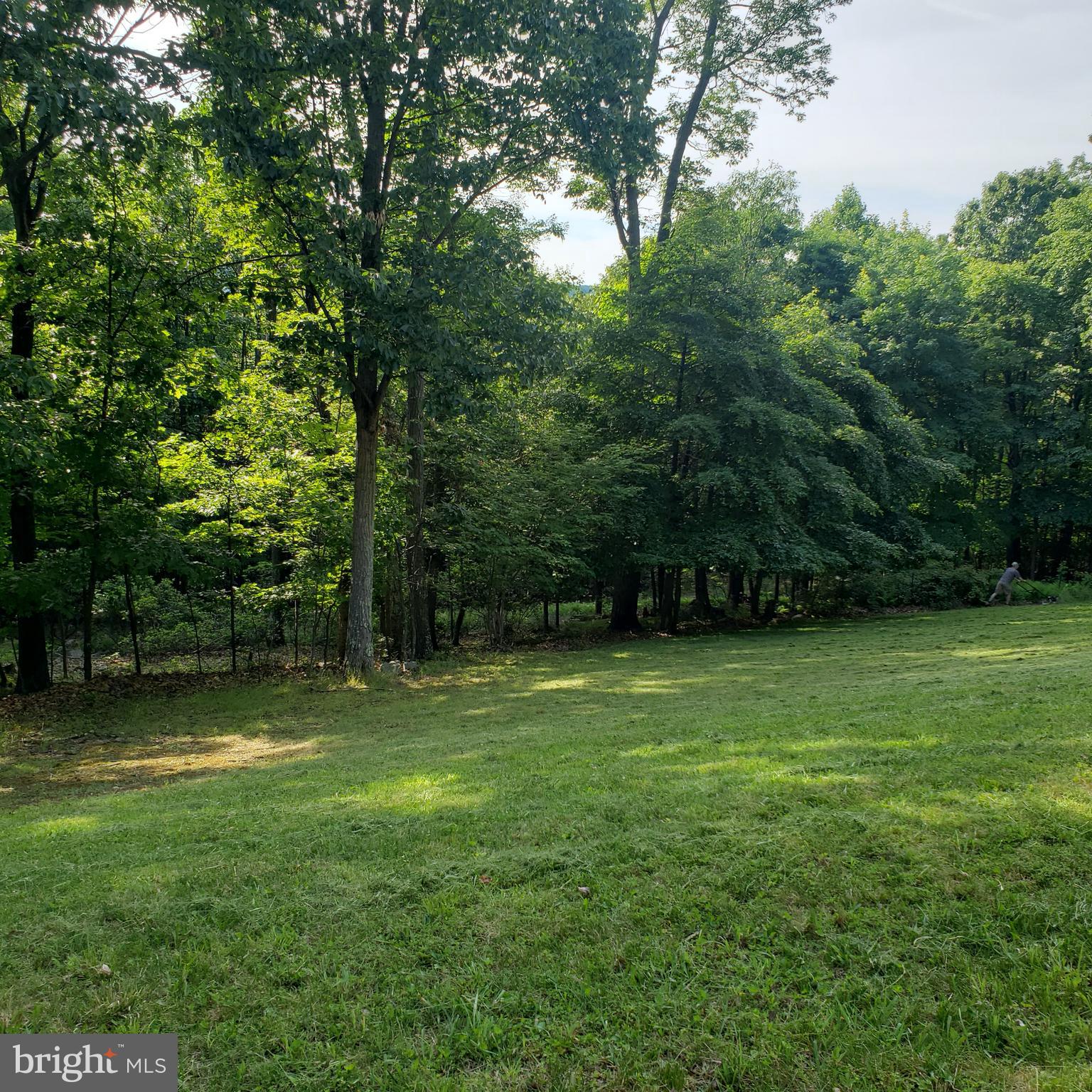 GRASSY MOUNTAIN WOODS - Residential