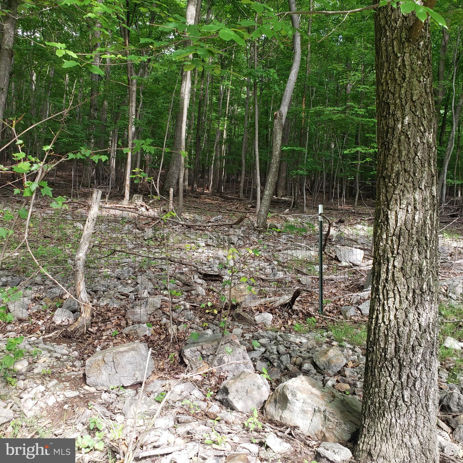 GRASSY MOUNTAIN WOODS - Residential