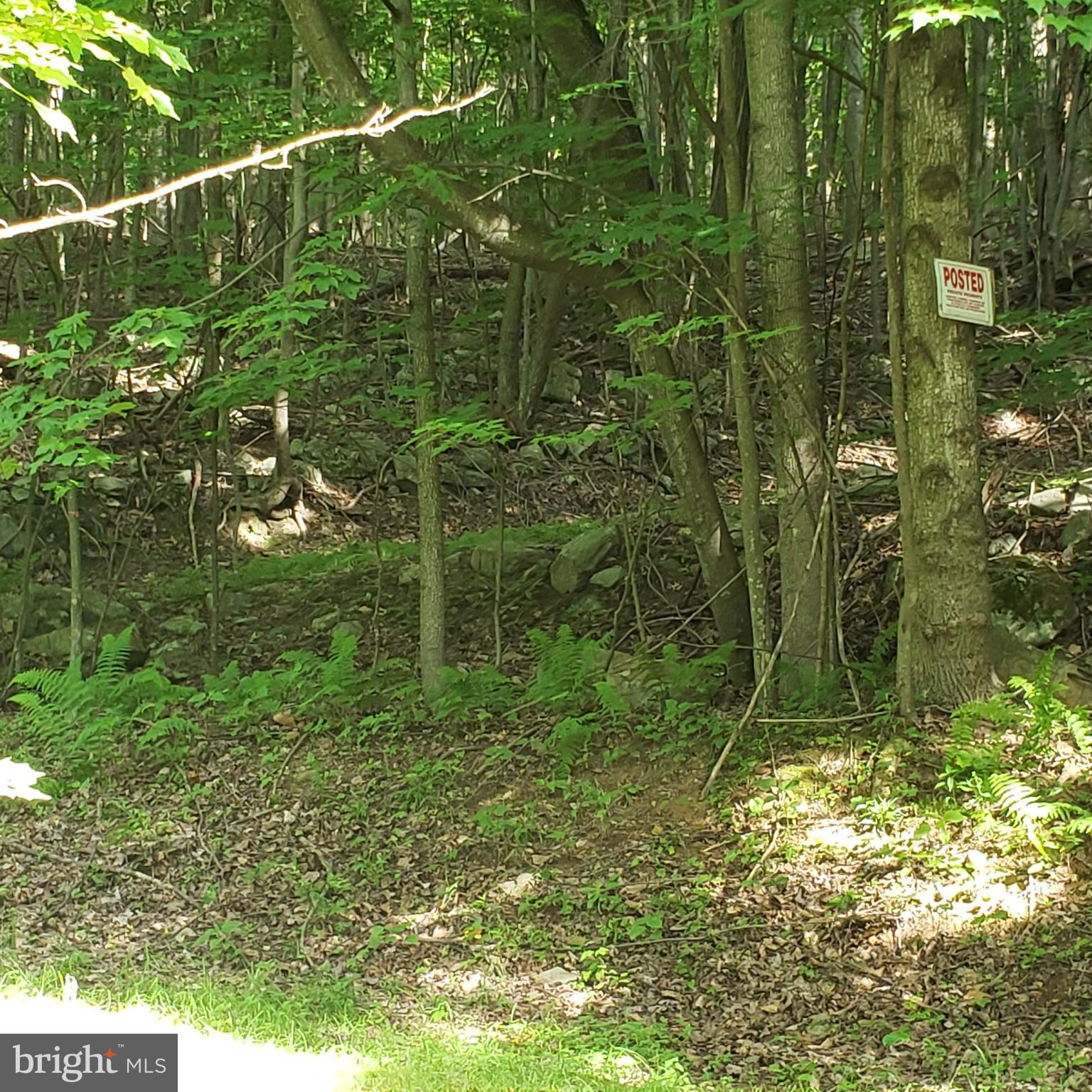 GRASSY MOUNTAIN WOODS - Residential