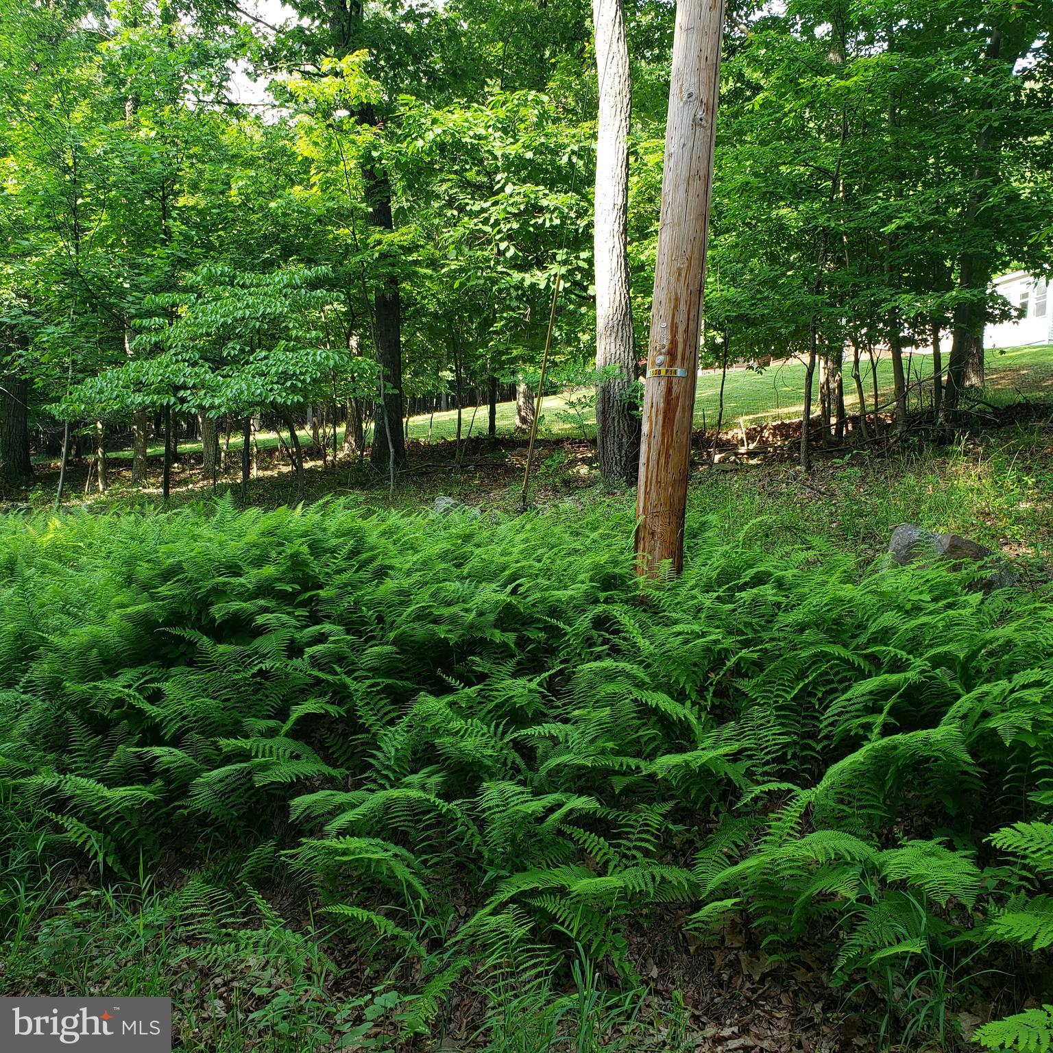 GRASSY MOUNTAIN WOODS - Residential