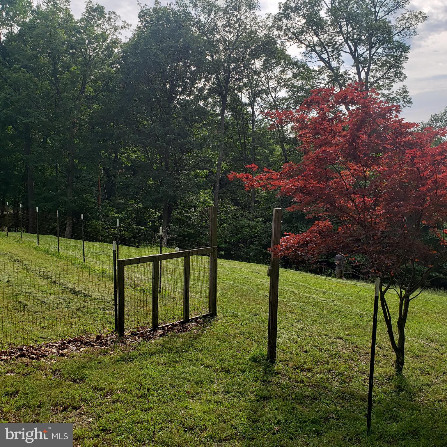 GRASSY MOUNTAIN WOODS - Residential