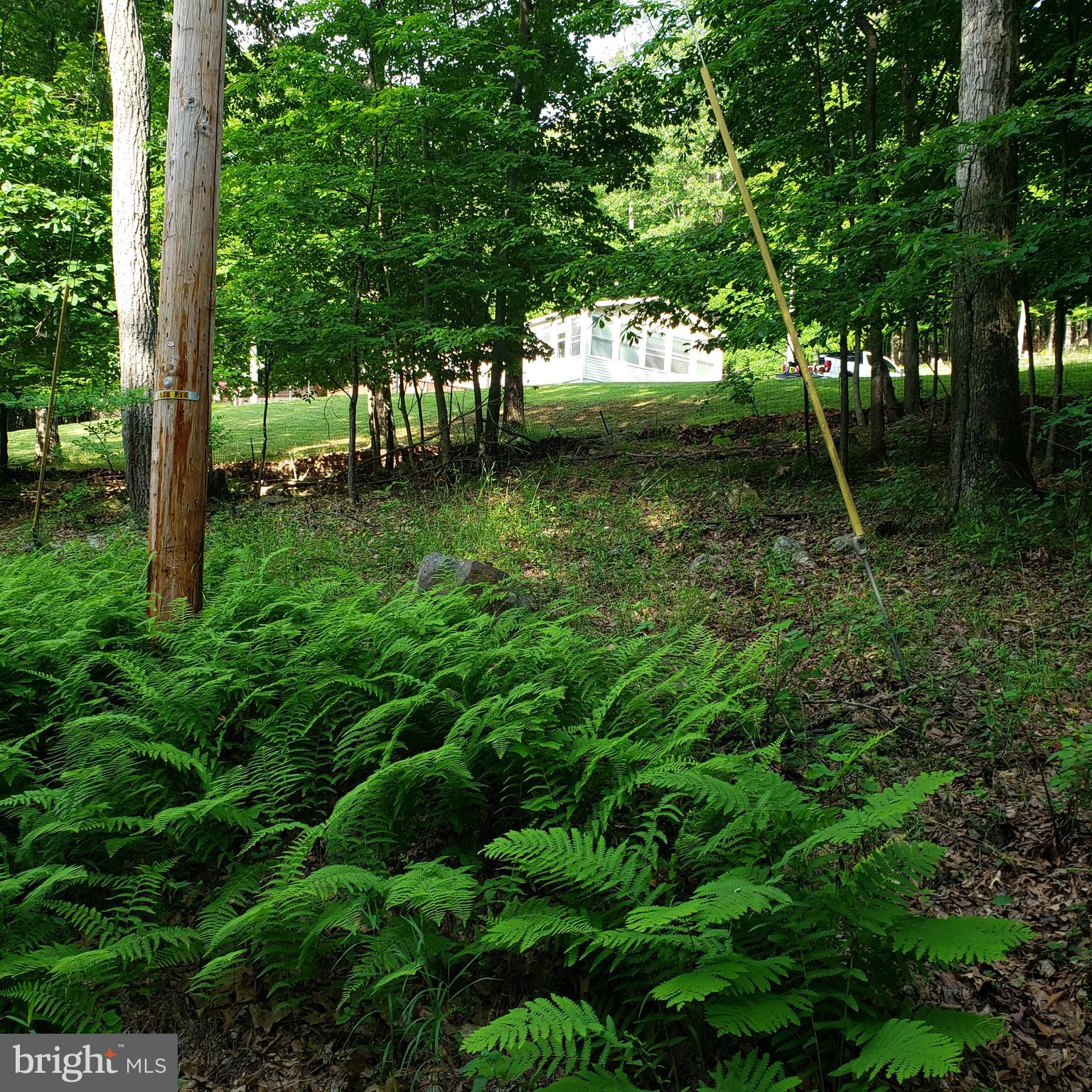 GRASSY MOUNTAIN WOODS - Residential