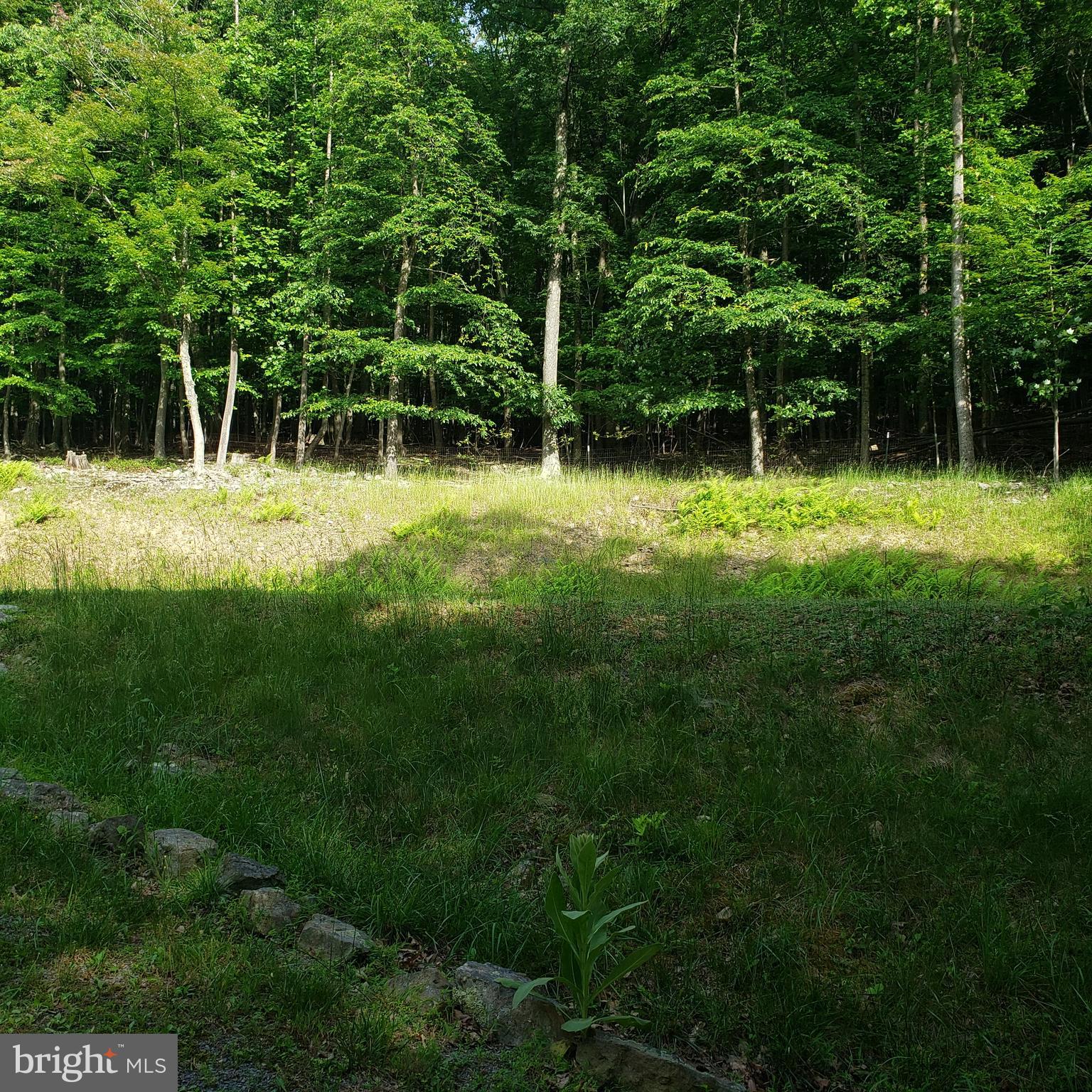 GRASSY MOUNTAIN WOODS - Residential