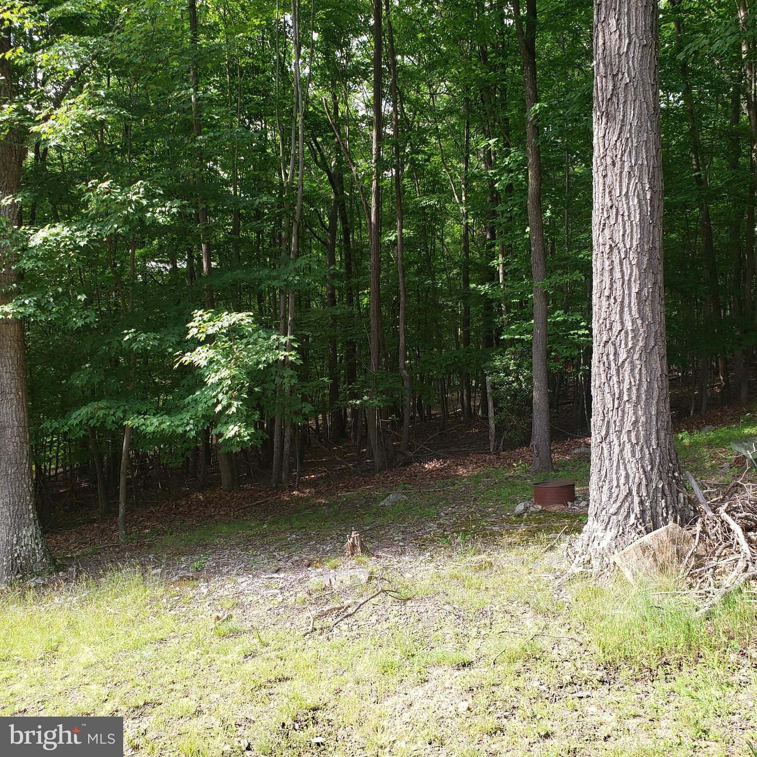 GRASSY MOUNTAIN WOODS - Residential