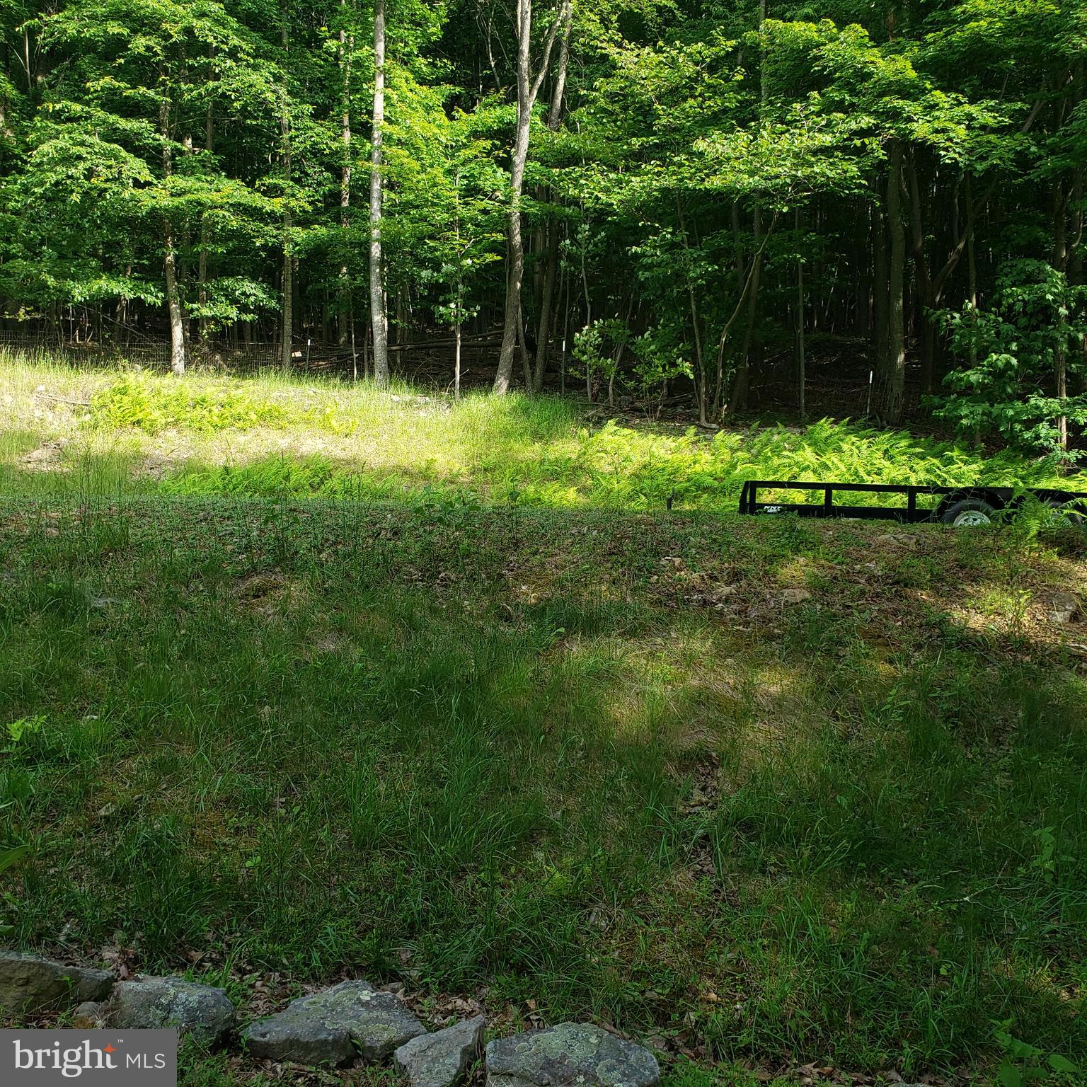 GRASSY MOUNTAIN WOODS - Residential