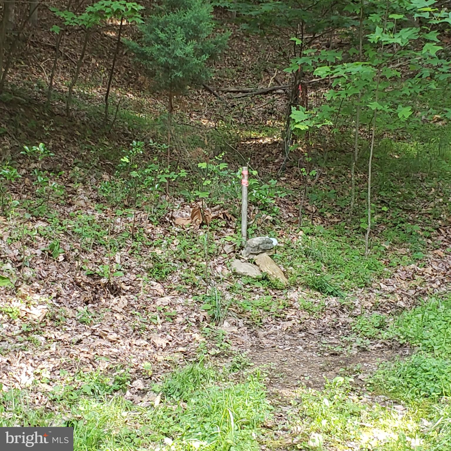 GRASSY MOUNTAIN WOODS - Residential