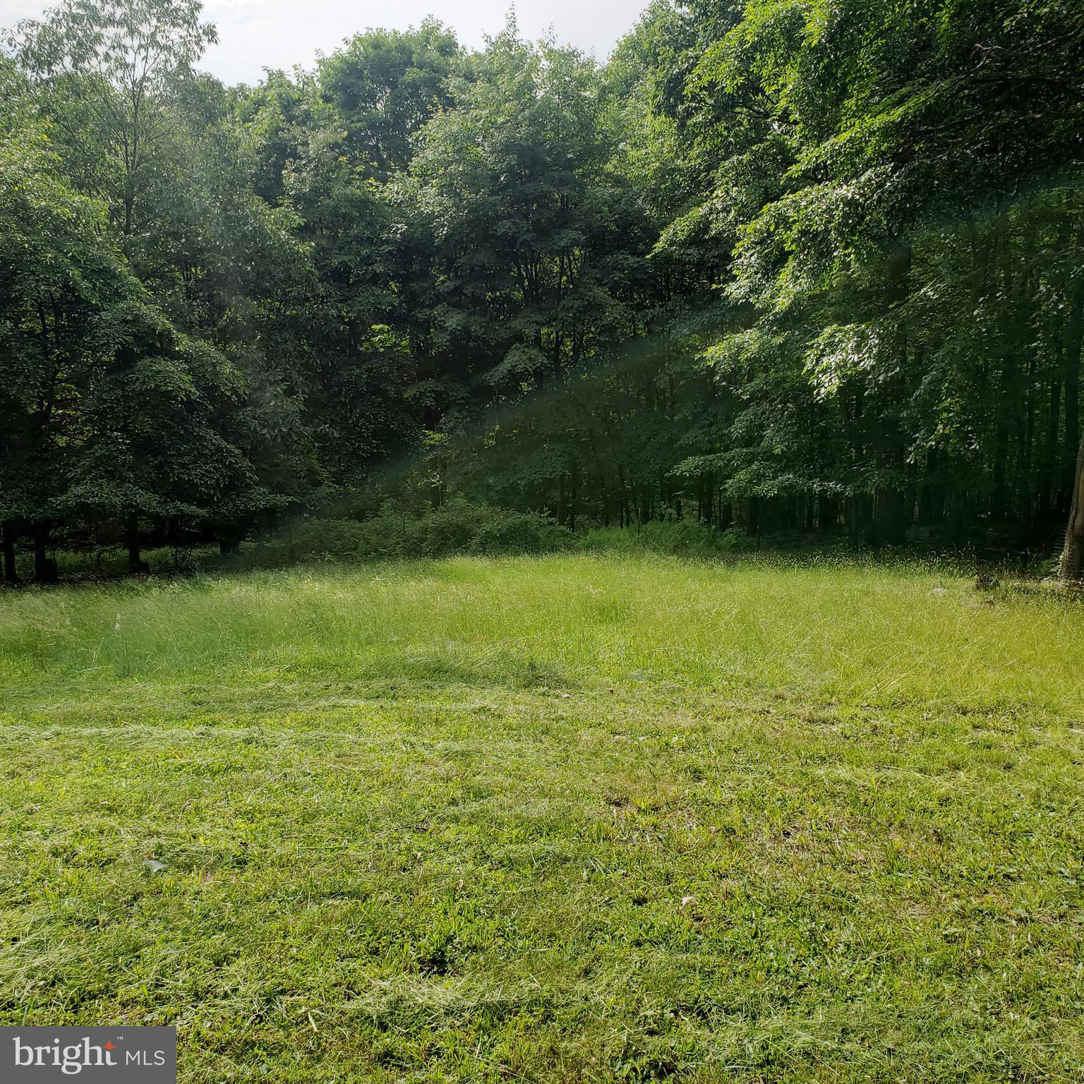 GRASSY MOUNTAIN WOODS - Residential