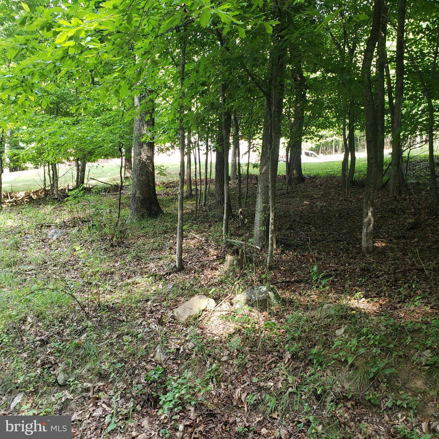GRASSY MOUNTAIN WOODS - Residential