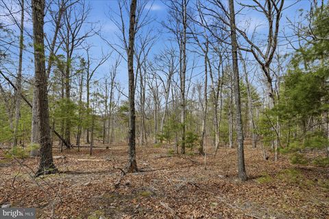 Vacant Land For Sale - 5.35 Ac # 16 B- Back Mountain Rd<br/> Frederick County, WINCHESTER, VA 22602