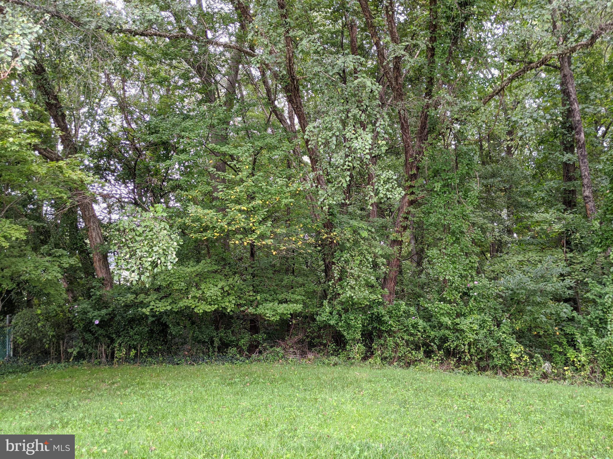 VILLAGE OF OLDE MILL - Residential