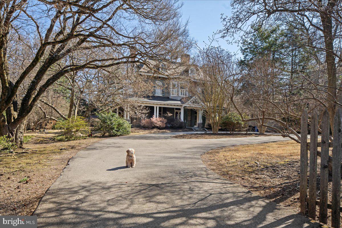 CHESTNUT HILL - Residential