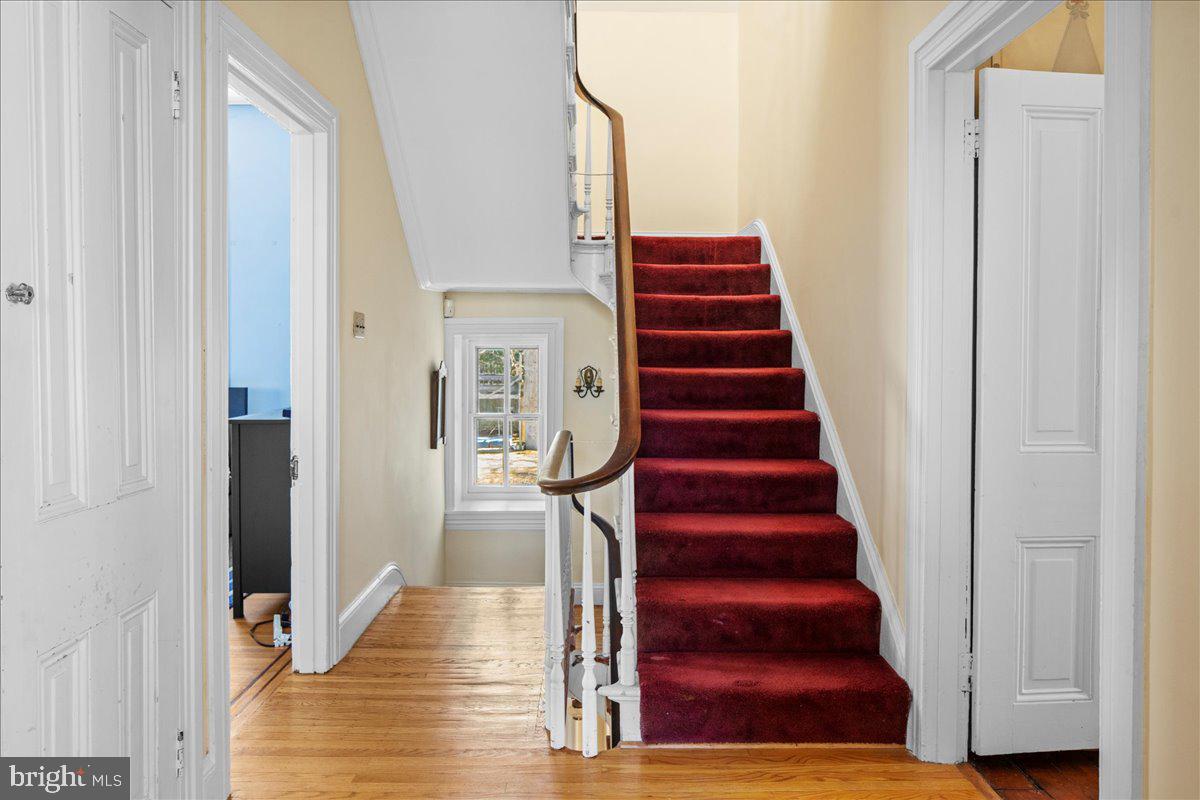 CHESTNUT HILL - Residential