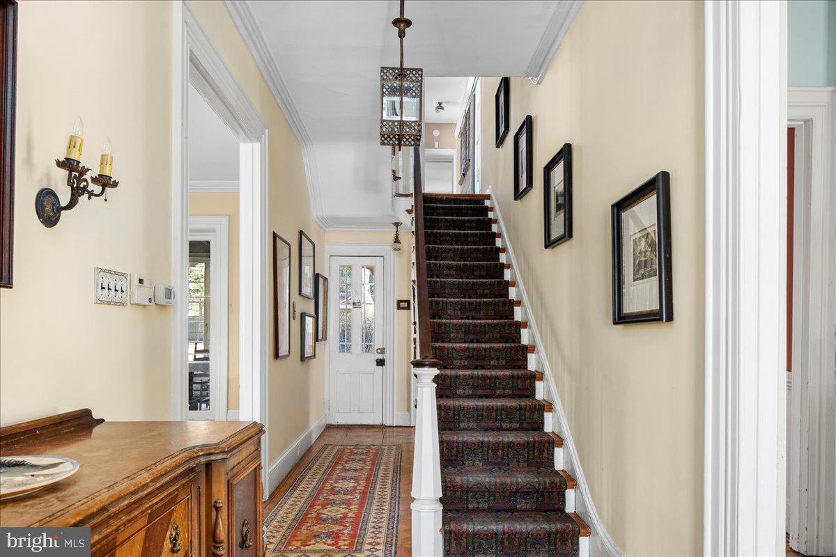 CHESTNUT HILL - Residential