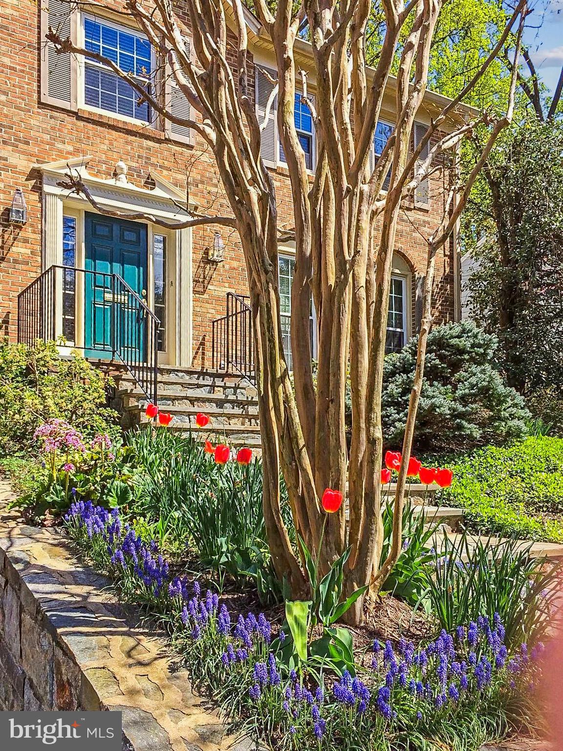 WYNGATE - Residential