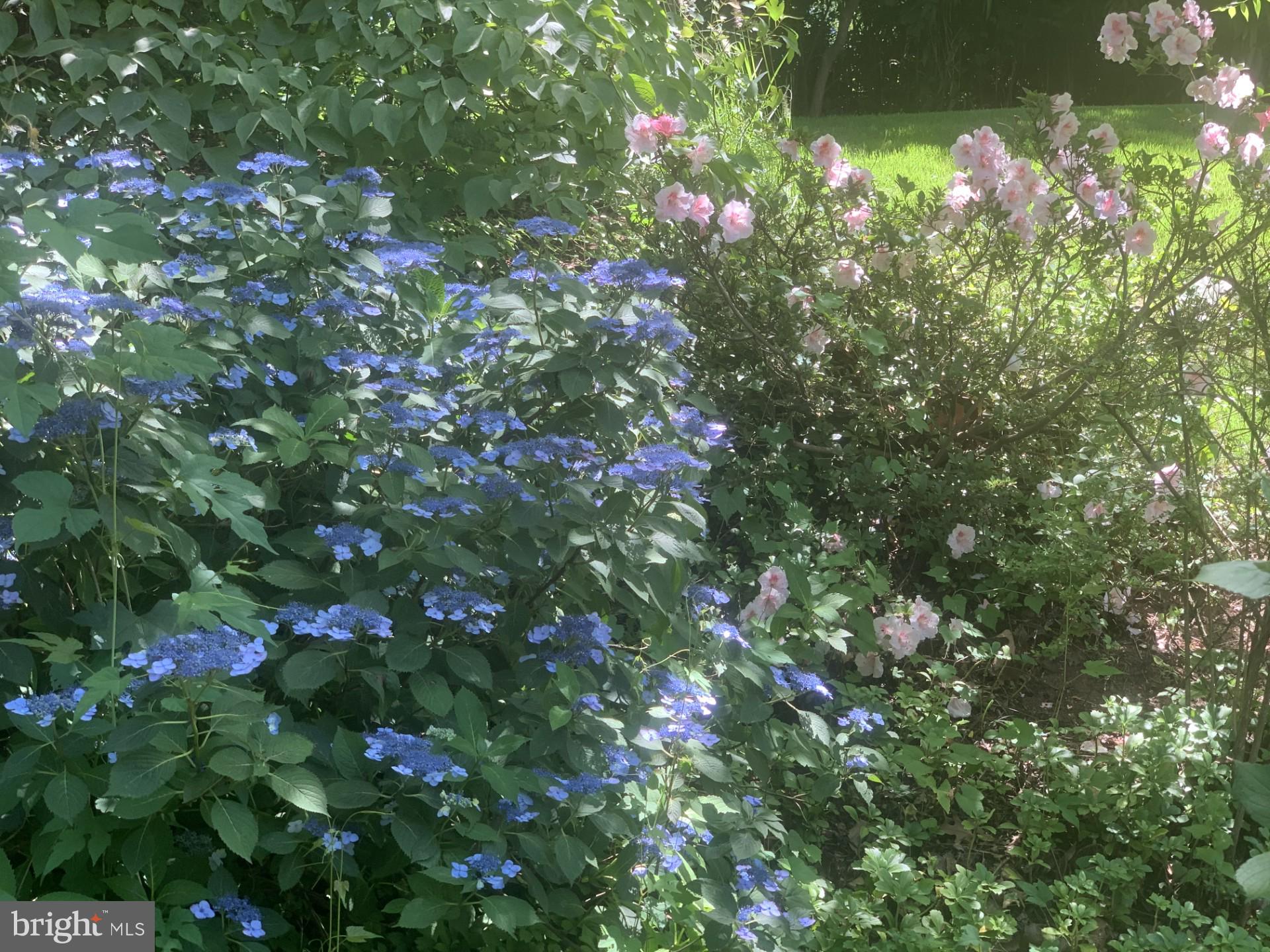 WYNGATE - Residential