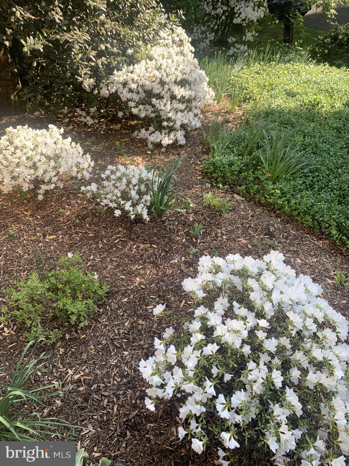 WYNGATE - Residential