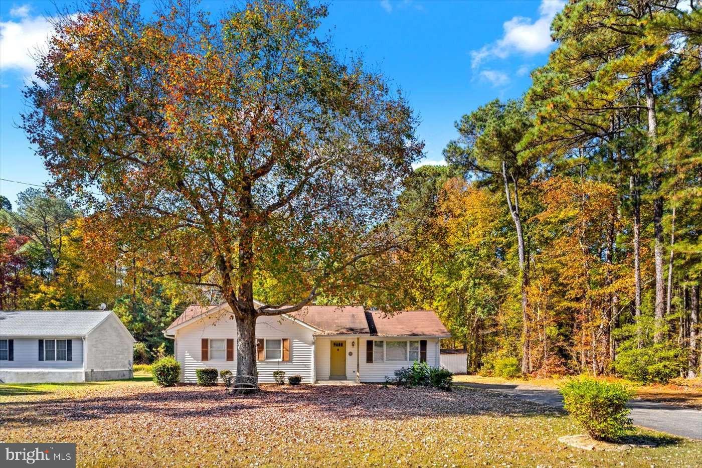 CABIN POINT - Residential