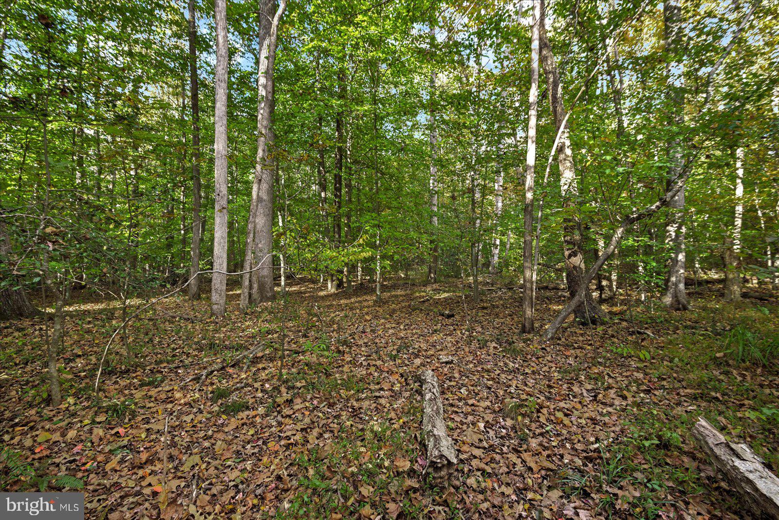 0 HOLLY CORNER ROAD