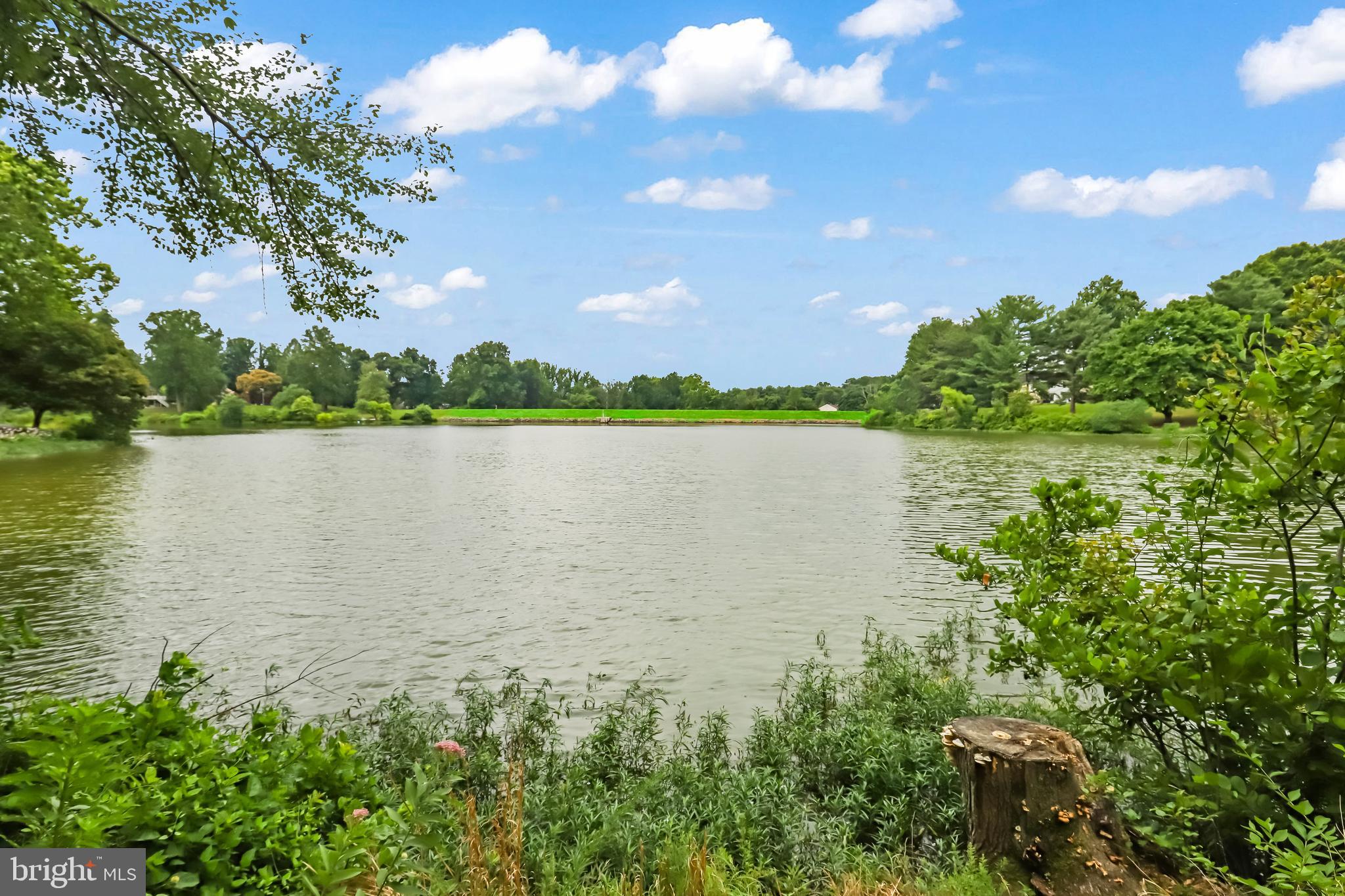 LAKE BRADDOCK - Residential