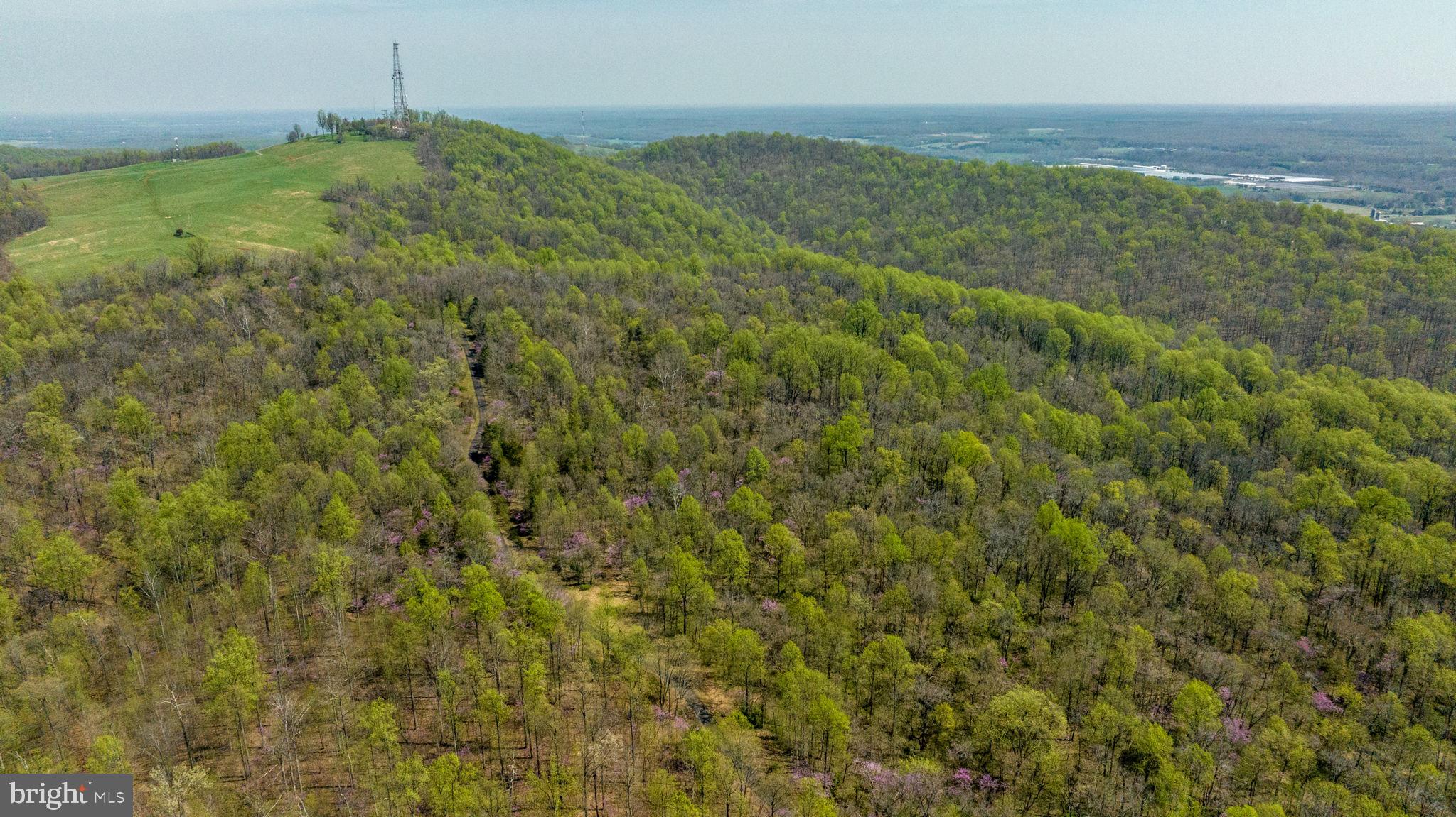 Lot 19 HAWTHORNE DRIVE