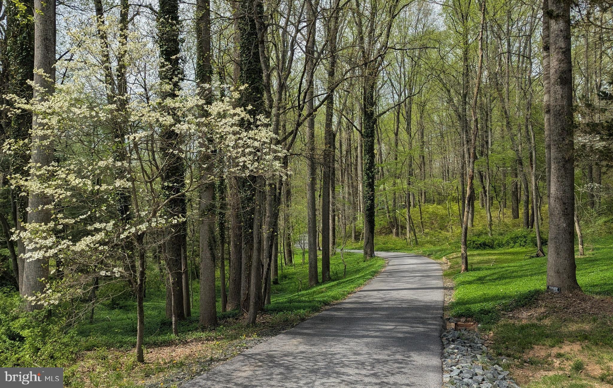 7190 MINK HOLLOW ROAD