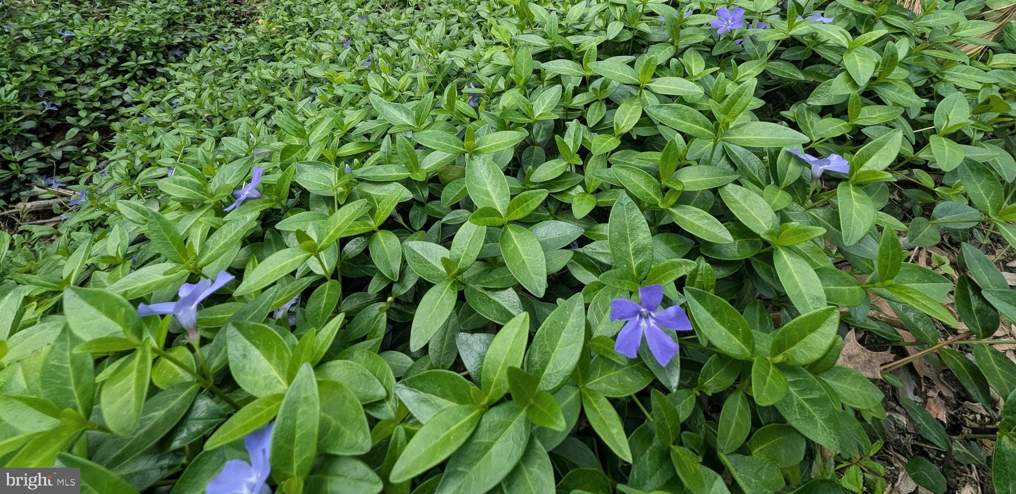 7190 MINK HOLLOW ROAD