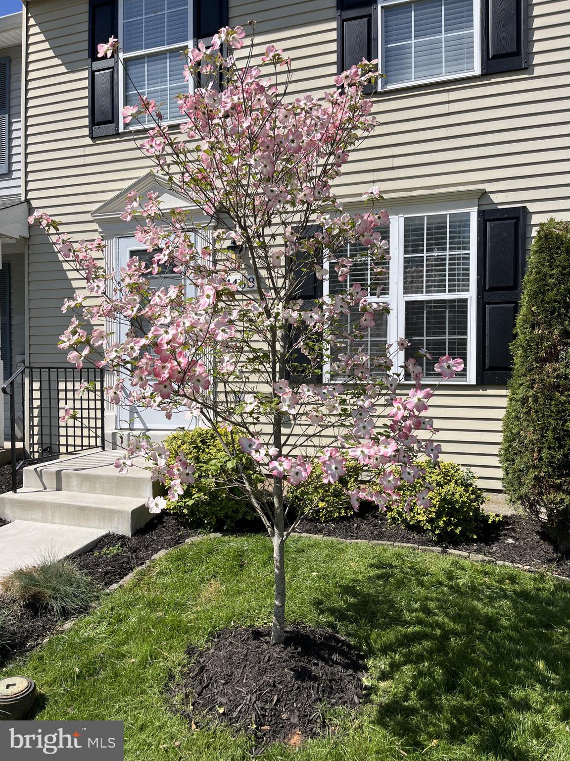 FREDERICKTOWNE VILLAGE - Residential