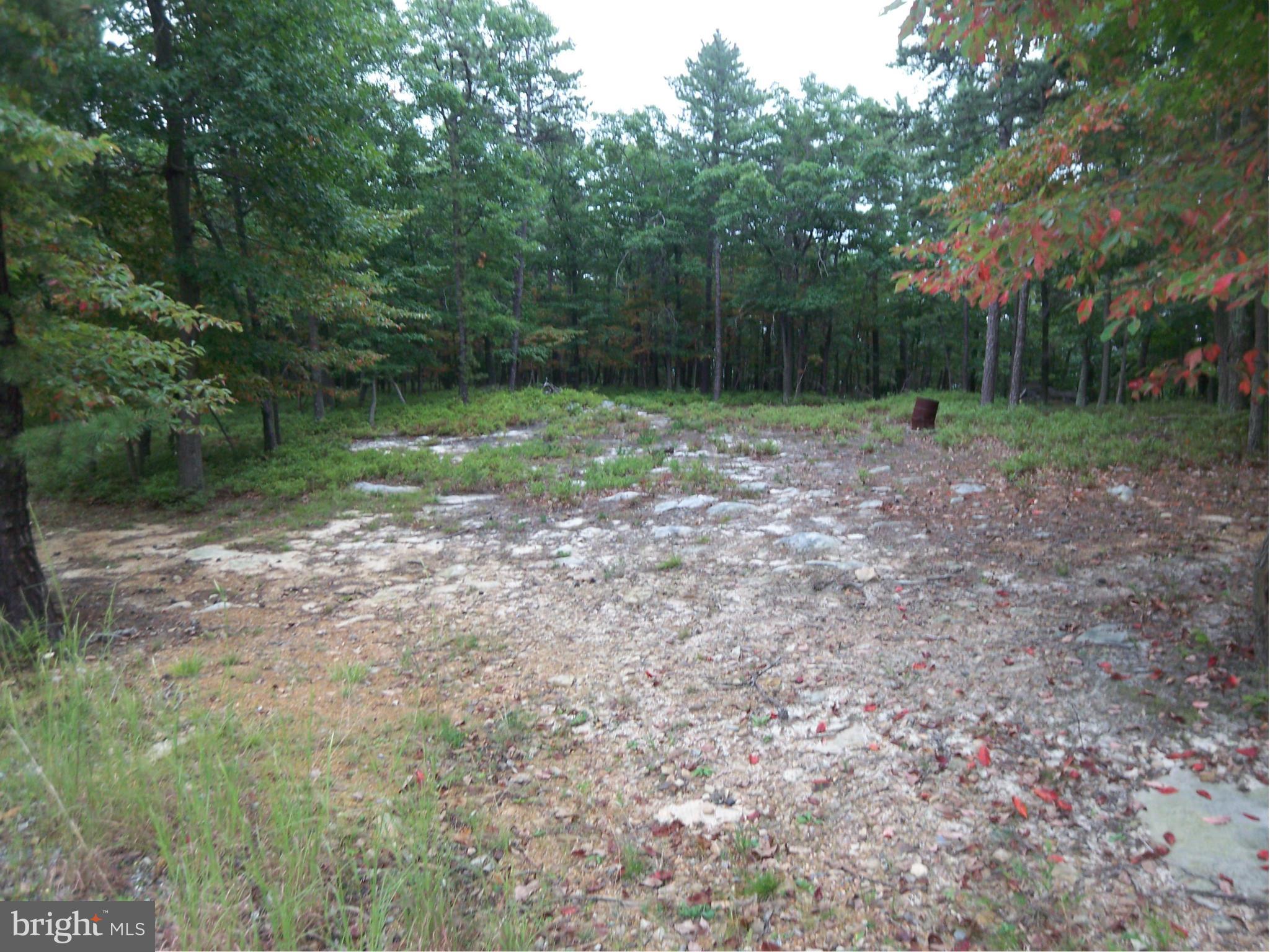 MORGANS RIDGE - Land