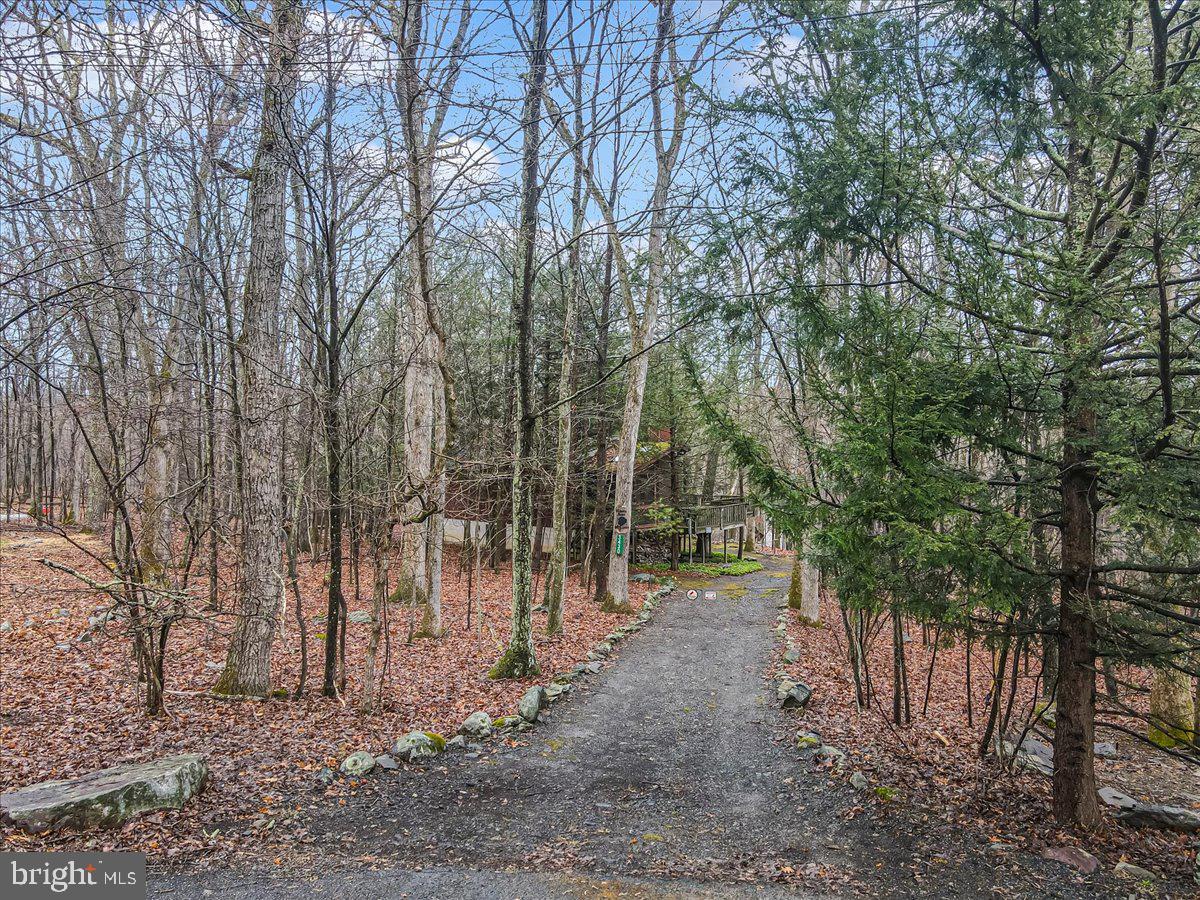 WILDERNESS ACRES - Residential