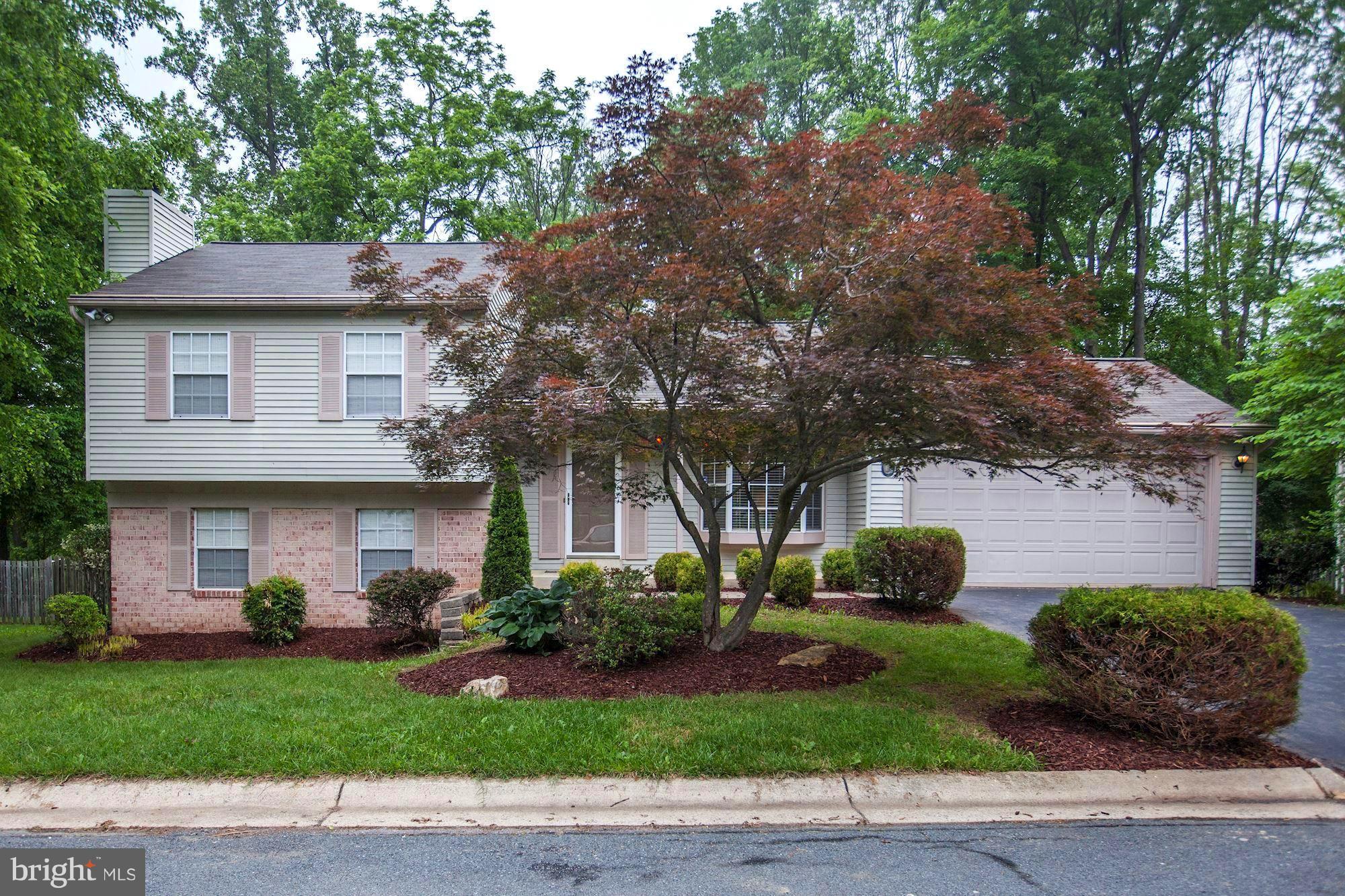 WILLIAMSBURG VILLAGE - Residential